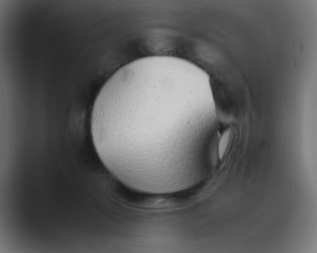 X0000089360319200706291046