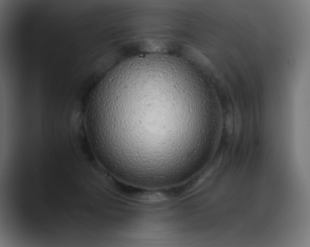 X0000089360322200706291046