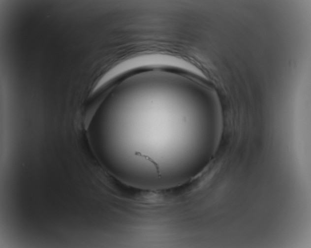 X0000089360325200706291046