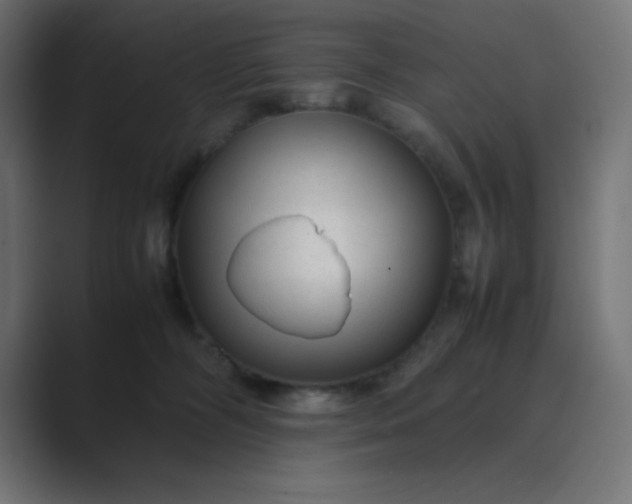 X0000089360326200706291046