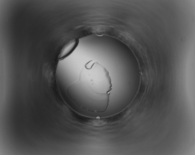 X0000089360327200706291046