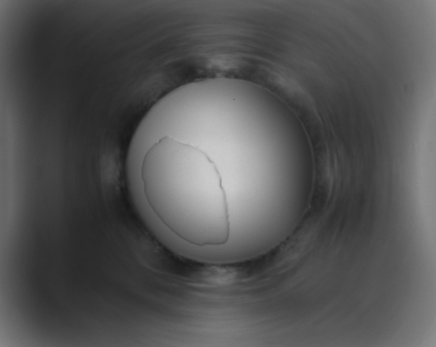 X0000089360328200706291046