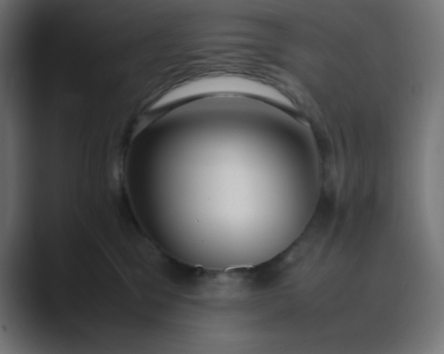 X0000089360329200706291046