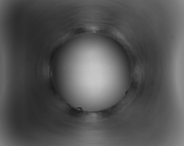 X0000089360330200706291046