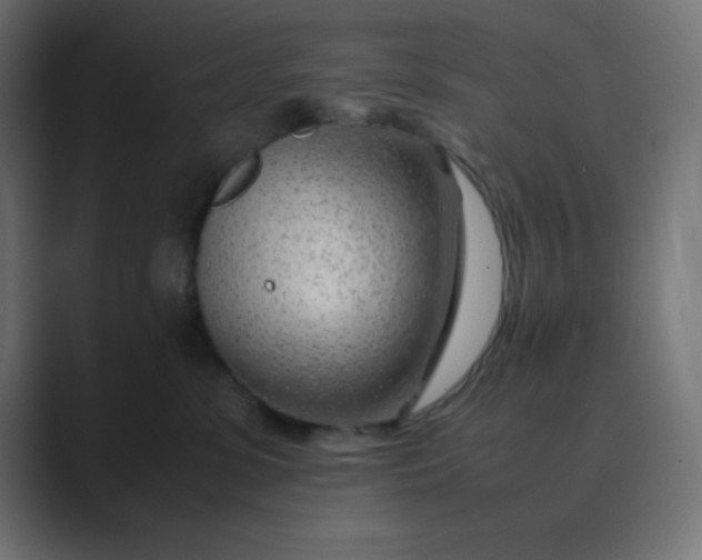 X0000089360331200706291046