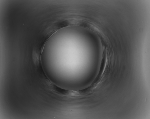 X0000089360333200706291046