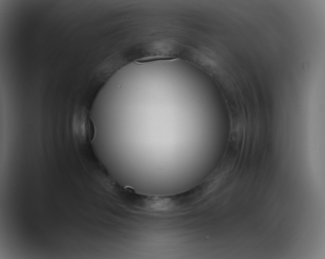 X0000089360334200706291046