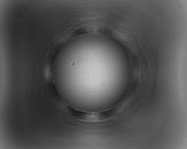 X0000089360335200706291046