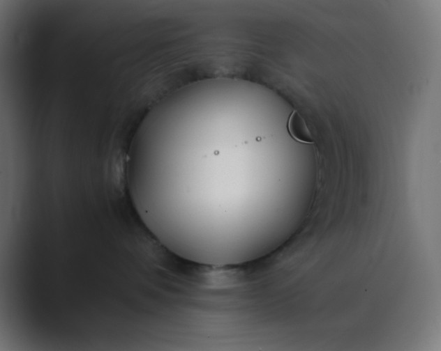 X0000089360336200706291046