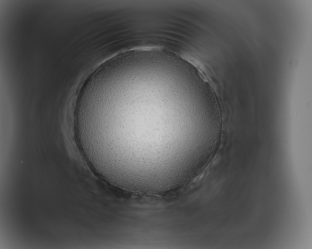 X0000089360337200706291046