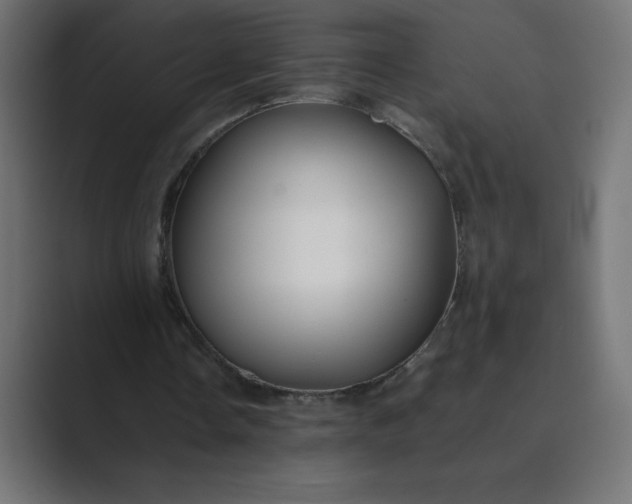 X0000089360338200706291046