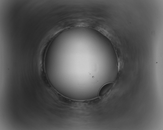 X0000089360339200706291046