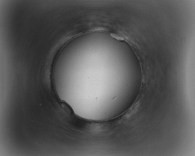 X0000089360341200706291046