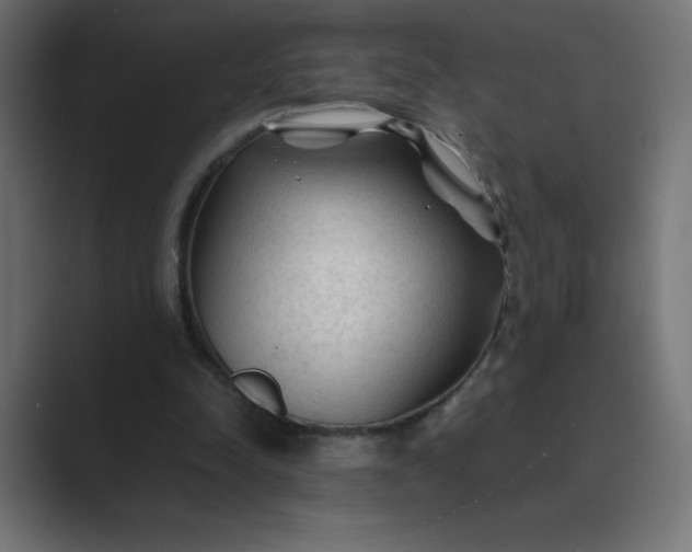 X0000089360342200706291046