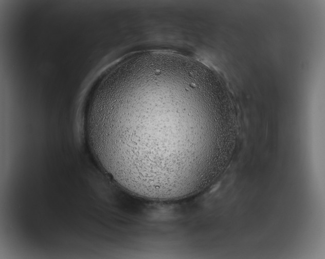 X0000089360343200706291046