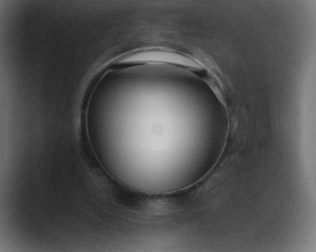 X0000089360344200706291046