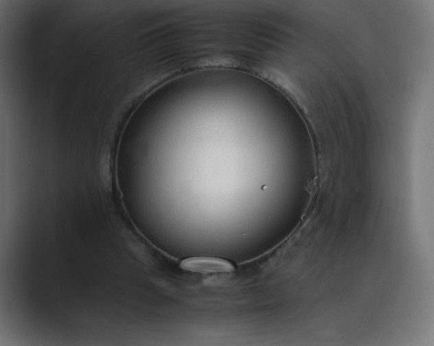 X0000089360345200706291046