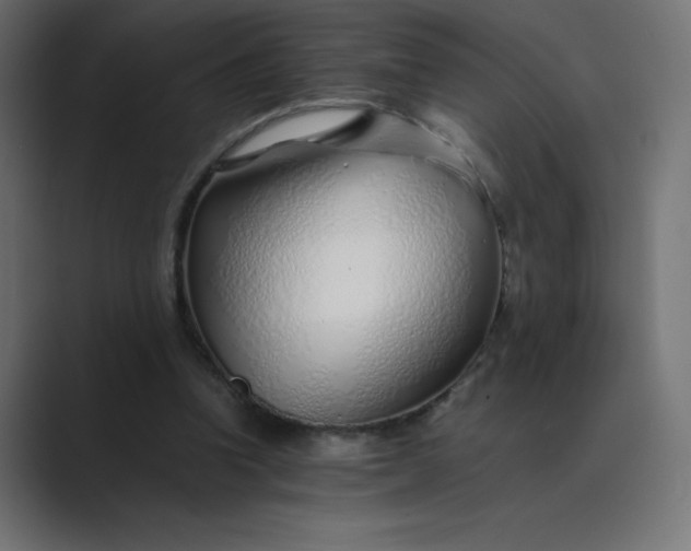 X0000089360346200706291046