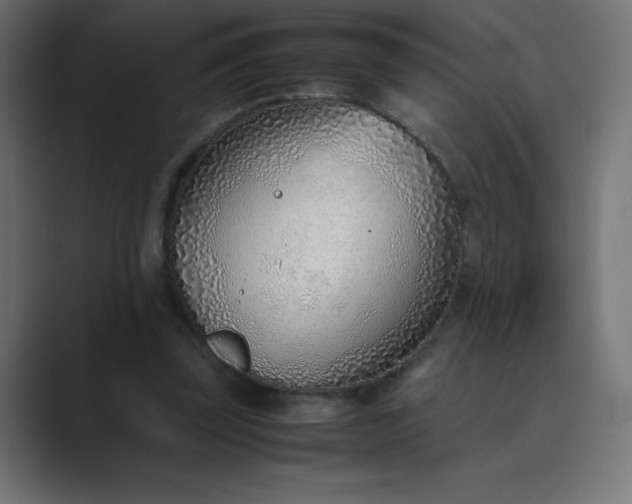 X0000089360347200706291046