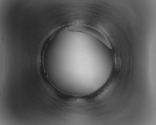 X0000089360348200706291046