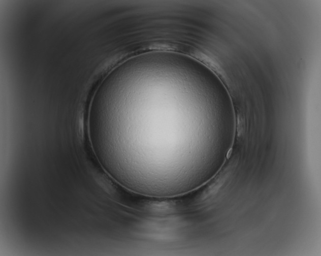 X0000089360349200706291046