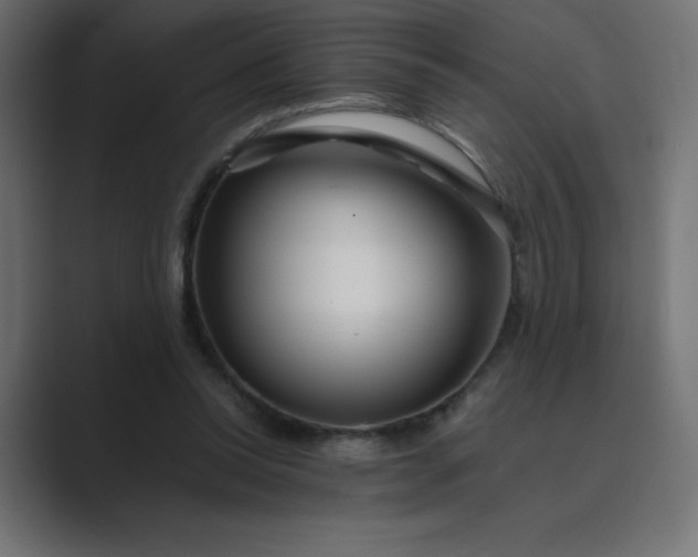 X0000089360350200706291046