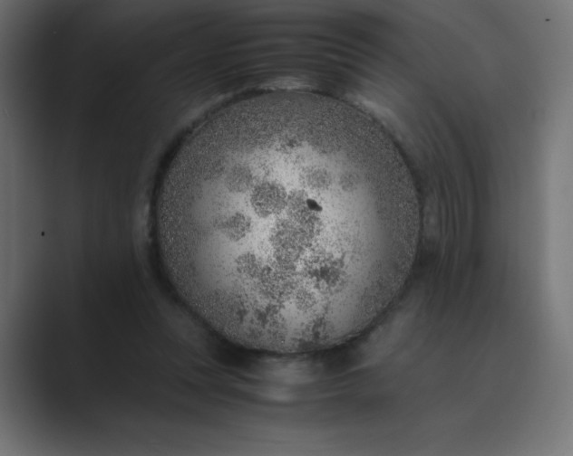 X0000089360351200706291046