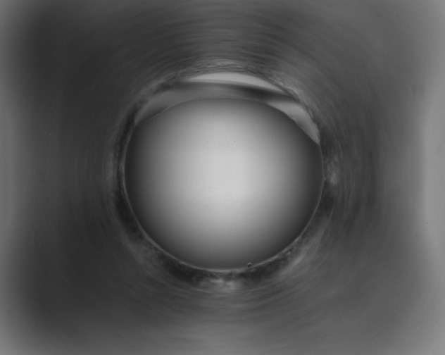 X0000089360352200706291046