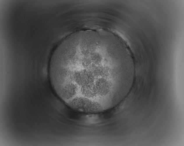 X0000089360353200706291046