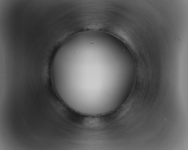 X0000089360354200706291046