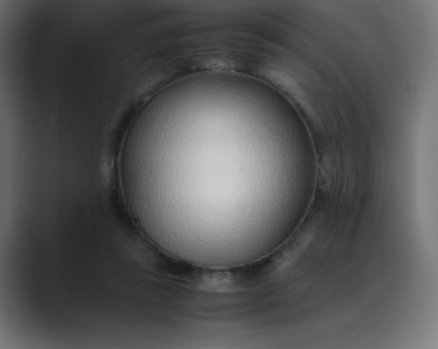 X0000089360355200706291046