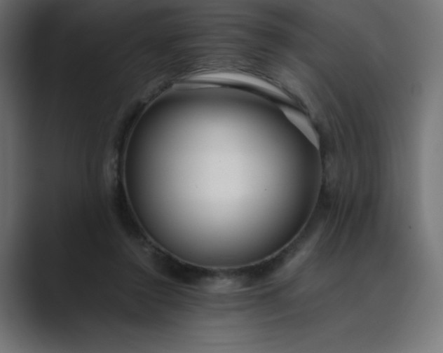 X0000089360356200706291046