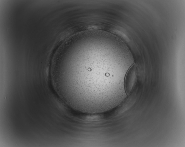 X0000089360357200706291046