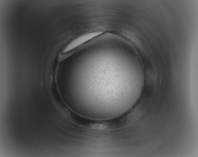 X0000089360358200706291046