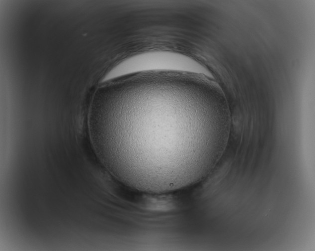 X0000089360359200706291046