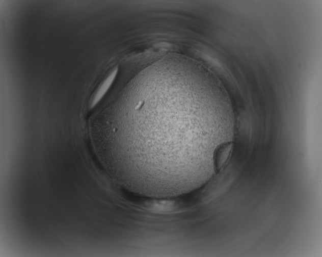 X0000089360361200706291046