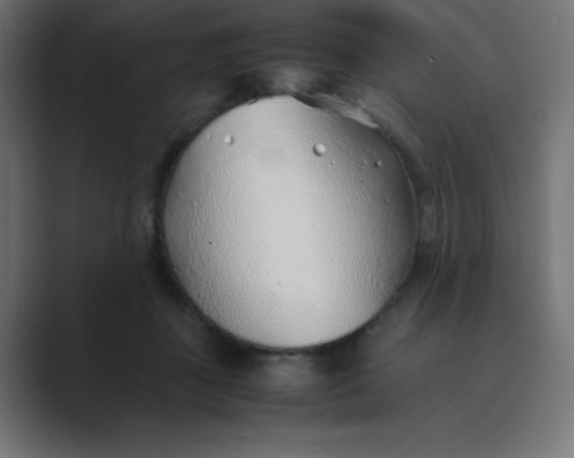 X0000089360363200706291046