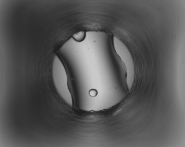 X0000089360364200706291046