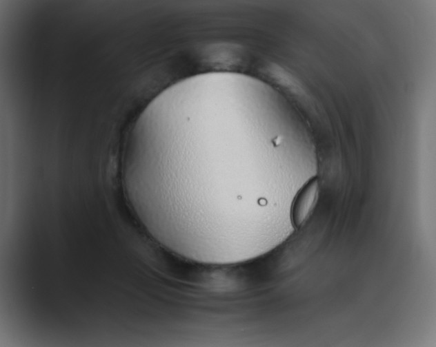 X0000089360365200706291046