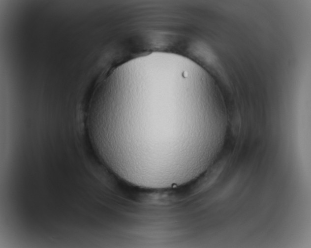 X0000089360366200706291046