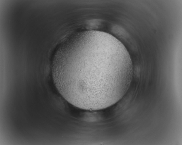 X0000089360367200706291046