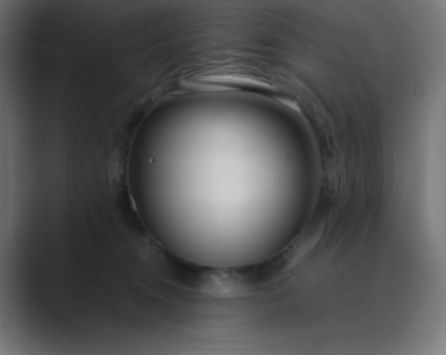 X0000089360372200706291046