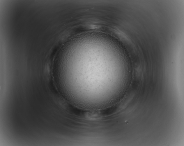 X0000089360373200706291046