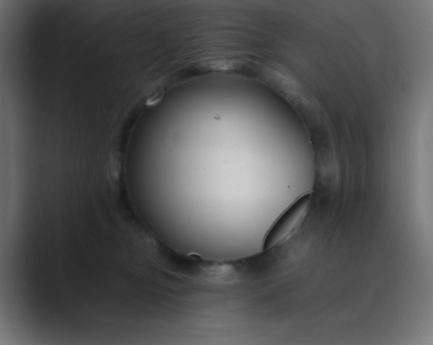 X0000089360374200706291046