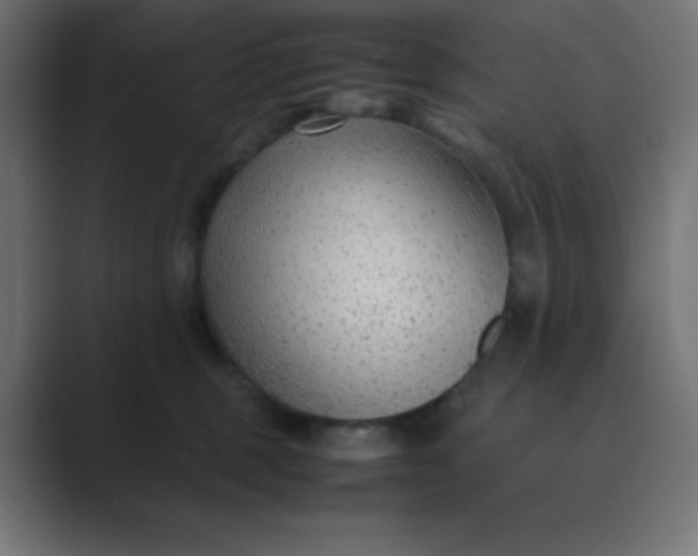 X0000089360375200706291046