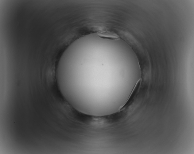 X0000089360376200706291046