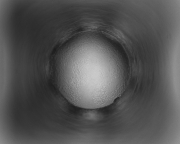 X0000089360377200706291046