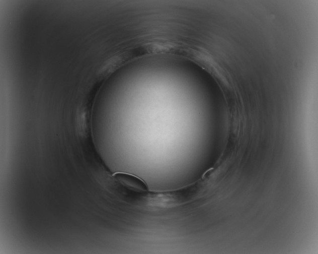 X0000089360378200706291046