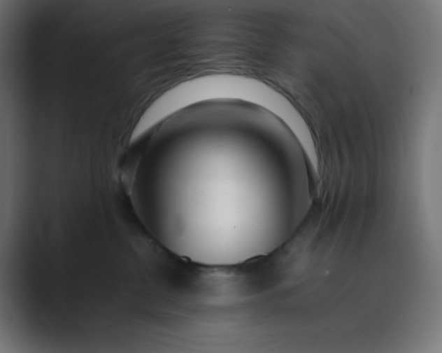 X0000089360380200706291046