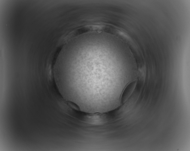 X0000089360381200706291046